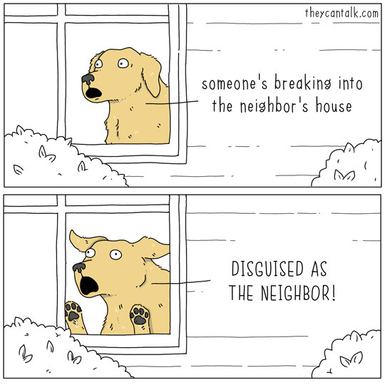 Two-panel comic by 'they can talk' showing a yellow dog looking out a window. Panel 1: the dog peers out with a shocked expression; caption reads, "someone's breaking into the neighbor's house." Panel 2: the dog presses its paws and face to the glass, eyes wide and shouting, "DISGUISED AS THE NEIGHBOR!"