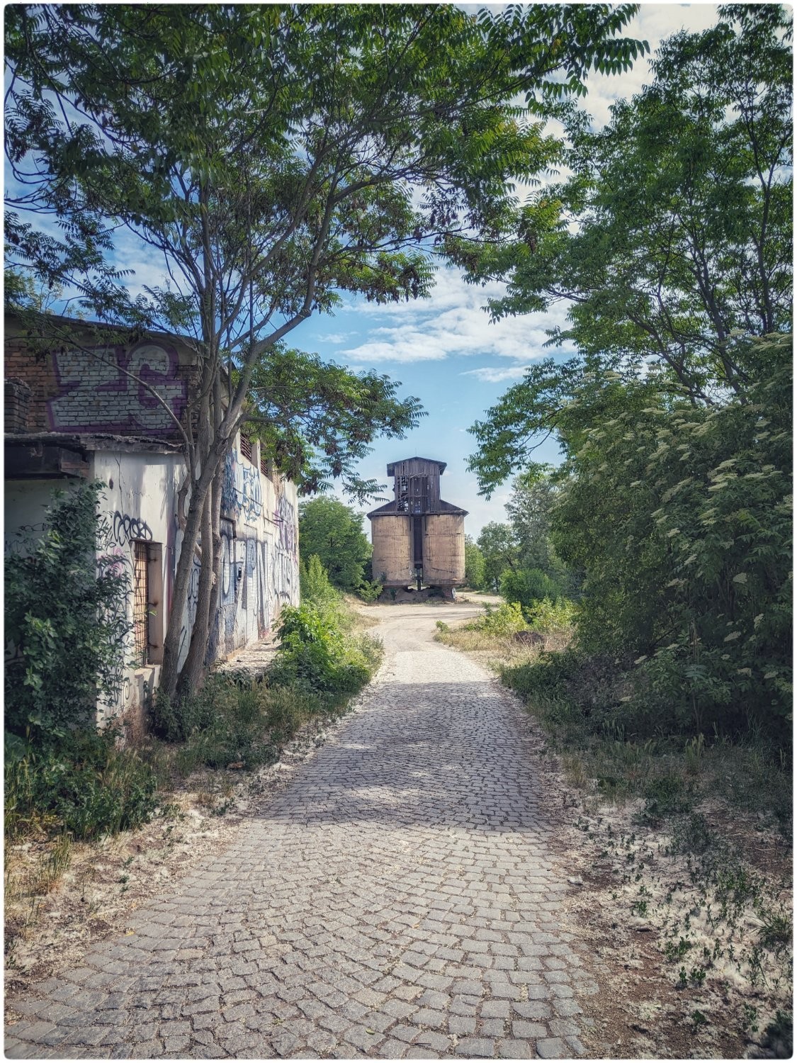 The photo captures a serene, overgrown path leading to an old, abandoned industrial structure. A cobblestone trail, bordered by lush greenery and tall trees, draws the eye toward a weathered wooden tower in the distance. To the left, a dilapidated brick building features faded graffiti and creeping vines, adding a touch of urban decay to the otherwise tranquil rural scene. The sky above is clear and blue, with scattered clouds enhancing the peaceful, nostalgic atmosphere.