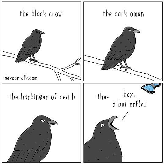 Dawww